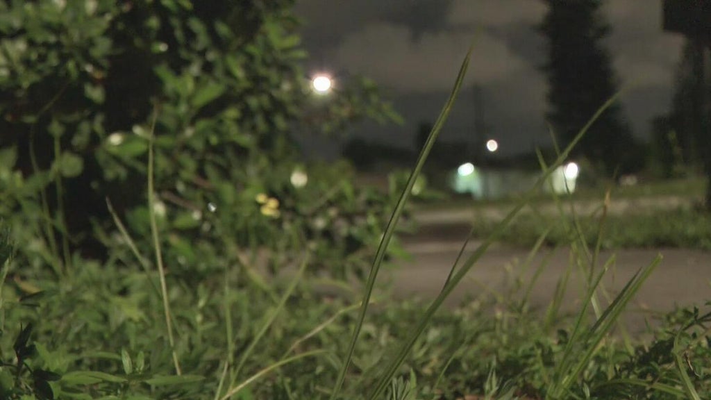 Broward mother says she went months without update after reporting man outside her window — CBS Miami, Beijing Real Estate news
